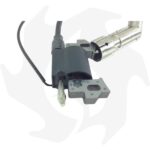 Bobina di accensione elettronica per motore Ducar DV150 - immagine 2