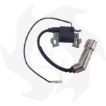 Bobina di accensione elettronica per motore Ducar DV150