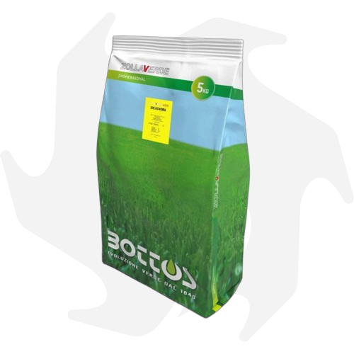 bottos-dicondra-5-kg-sementi-per-prato-macroterme-removebg-preview_risultato Dichondra Repens Bottos – 5Kg Sementi dicondra repens tappezzanti per tappeto folto a bassa manutenzione - immagine 1