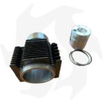 Cilindro e pistone per Lombardini LDA450