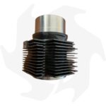 Cilindro e pistone per Lombardini LDA450 - immagine 2