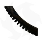 Corona avviamento elettrico adattabile motore Lombardini 6LD - immagine 3