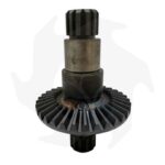 Corona conica originale Goldoni per fresa modello 22 a 33 denti - immagine 4