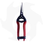 Forbici FALKET COGLIAGRUMI in acciaio Inox - immagine 2