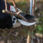 Forbici professionali Falket 2030 lama curva con taglio battente per potatura - immagine 4