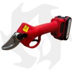 Forbici per potatura professionali a batteria RedLeaf RL30