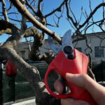 Forbici per potatura professionali a batteria RedLeaf RL30 - immagine 9