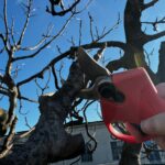 Forbici per potatura professionali a batteria RedLeaf RL30 - immagine 10