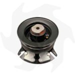 Frizione elettromagnetica WARNER 5217-20 / 5217-38 per rasaerba Alpina-Castelgarden- GGP TC102 -122