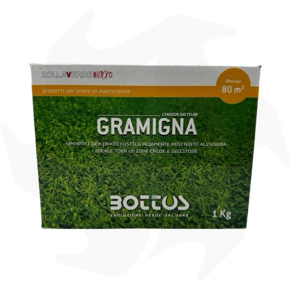Gramigna-Bottos-1-Kg-Sementi-di-specie-gramigna-per-zone-a-siccita-prolungata-3 Gramigna Bottos – 1Kg Sementi di specie gramigna per zone a siccità prolungata - immagine 1