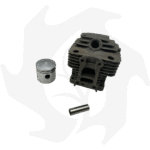 Cilindro e pistone per motore MITSUBISHI TLE 33FA