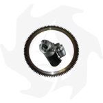 Motorino e corona Lombardini  6LD360 – 6LD400 - LDA530