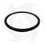 Kit base avviamento elettrico motorino + corona per motori Lombardini 15LD315-15LD350 - immagine 5