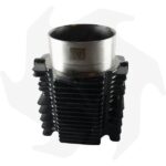 Kit cilindro e pistone 100mm Lombardini LDA100 – 4LD705 - immagine 4