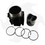 Kit cilindro e pistone 100mm Lombardini LDA100 – 4LD705 - immagine 2