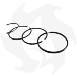 Kit cilindro e pistone 100mm Lombardini LDA100 – 4LD705 - immagine 9