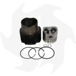 Kit cilindro + pistone + serie segmenti adattabile a motore Lombardini 6LD400 standard