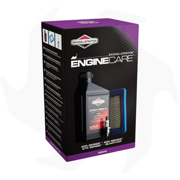 Kit-di-pulizia-per-motori-Briggs-&-Stratton-625-650-675-Quantum-Series-3 Kit di pulizia per motori Briggs & Stratton 625/650/675 Quantum Series - immagine 1