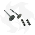 Kit valvole e guide Lombardini 6LD360  6LD400 6LD435