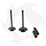 Kit valvole e guide Lombardini 6LD360  6LD400 6LD435 - immagine 2