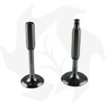 Kit valvole e guide Lombardini 6LD360  6LD400 6LD435 - immagine 3