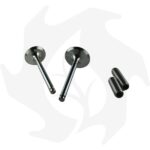 Kit valvole e guide Lombardini 6LD360  6LD400 6LD435 - immagine 4