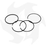 Pistone completo maggiorato + serie segmenti adattabile a motore Lombardini 4LD820-LDA820 - immagine 3