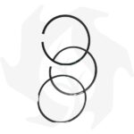 Pistone completo + serie segmenti adattabile a motore Lombardini 15LD440 standard - immagine 3