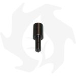 Polverizzatore iniettore adattabile LOMBARDINI 6LD360 – 6LD400 - immagine 2