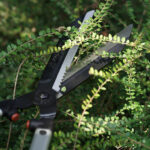 Tagliasiepi professionale FALKET - immagine 3