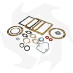 Serie guarnizioni completa e paraoli adattabili Lombardini 6LD360 - immagine 2