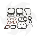 Serie guarnizioni completa e paraolio per motore Lombardini 15LD315