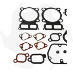 Serie guarnizioni completa e paraolio per motore Lombardini 15LD315 - immagine 2