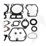 Serie guarnizioni completa e paraolio per motore Lombardini 15LD315 - immagine 3