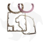 Serie guarnizioni completa e paraolio per motore Ruggerini RD RF - immagine 2