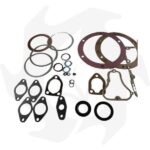 Serie guarnizioni completa e paraolio per motore Ruggerini vari modelli
