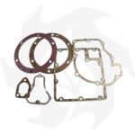 Serie guarnizioni completa e paraolio per motore Ruggerini vari modelli - immagine 2