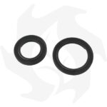 Serie guarnizioni completa e paraolio per motore Ruggerini RD RF - immagine 4