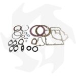 Serie guarnizioni completa e paraolio per motore Ruggerini vari modelli - immagine 3