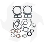 Serie guarnizioni e paraoli Lombardini 15LD350