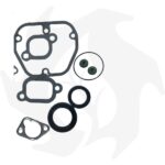 Serie guarnizioni e paraoli Lombardini 15LD350 - immagine 5