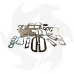 Serie guarnizioni completa per motore Ruggerini RD270/278 RD 952