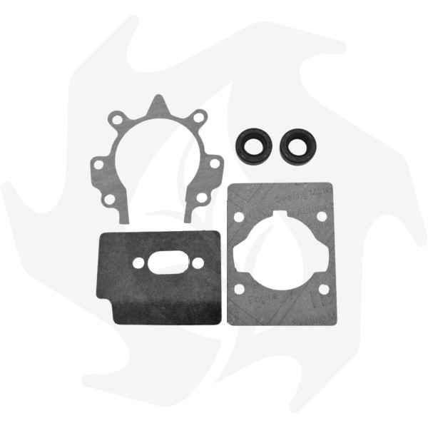 Serie guarnizioni Mitsubishi per decespugliatore TL23-TL26-TL33-TU26 Serie guarnizioni Mitsubishi per decespugliatore TL23-TL26-TL33-TU26 - immagine 1