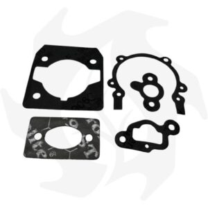 Serie guarnizioni per decespugliatore OleoMac-Efco