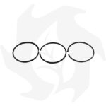 Serie segmenti 4 fasce adattabili a motore Ruggerini RD RF80-81 / MC70-MC71 Ø80mm - immagine 2