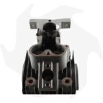 Testa cilindro completa Lombardini LDA510 3LD510 - immagine 3