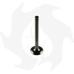 Valvola di scarico per motore Lombardini LDA520 – 530 - immagine 2