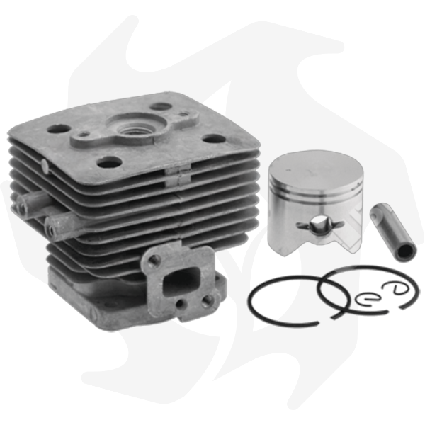 wmremove-transformed_risultato Cilindro e pistone per GreenLine GL 34 - immagine 1
