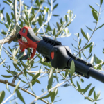 Forbici da potatura elettriche Falket su asta telescopica - immagine 6