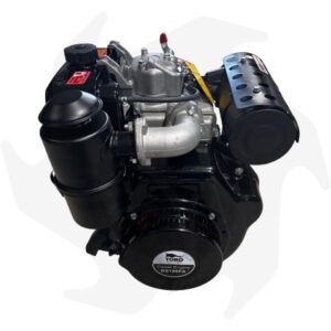 Motore diesel Toro Motori 10Hp avviamento a strappo